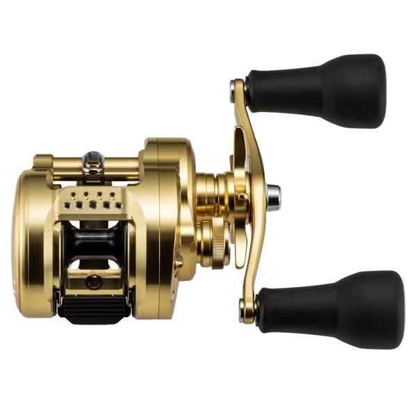 23カルカッタコンクエストMD